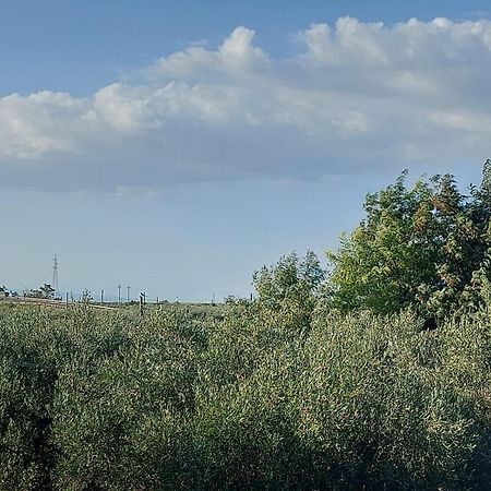 La Villa Del Conte Barletta Buitenkant foto