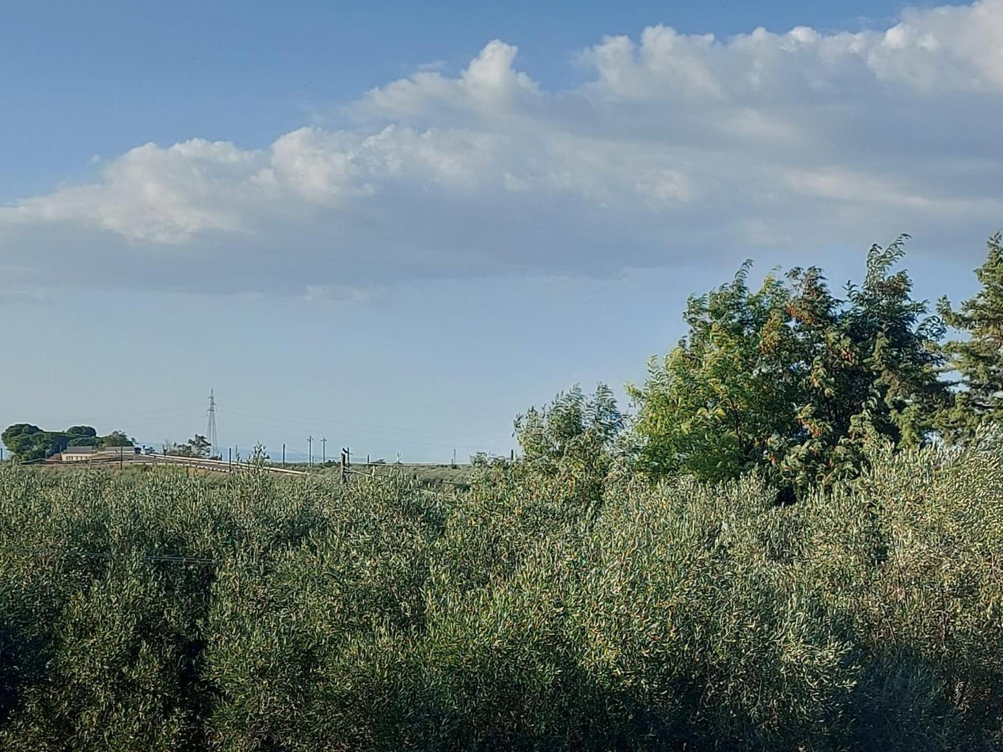 La Villa Del Conte Barletta Buitenkant foto